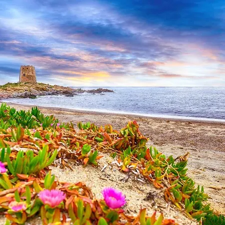 Διαμέρισμα Charming